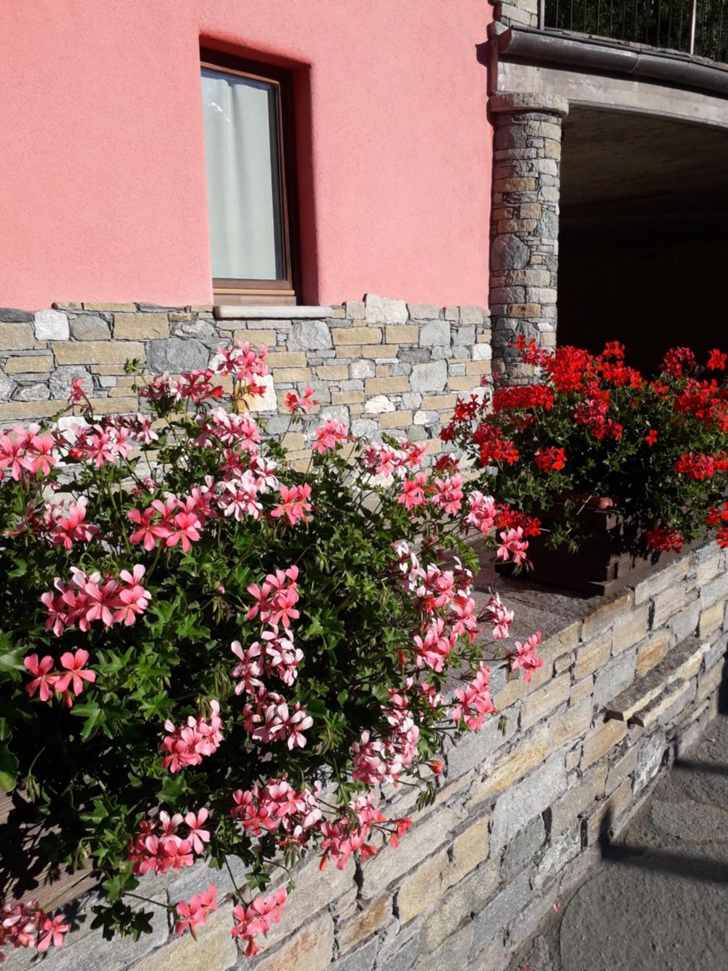 Affittacamere La Magia Dei Colori Verrayes Exterior foto